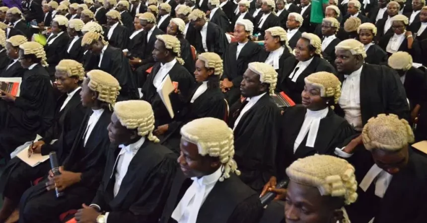 A Senior Advocate of Nigeria, SAN, Chief Joe Gadzama, has thrown his weight behind the establishment of a new umbrella body for lawyers in the country other than the Nigerian Bar Association, NBA.