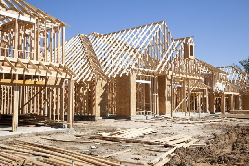 While inflation drives up construction prices worldwide, green, disaster-resilient and local bamboo building technology represents an affordable alternative.