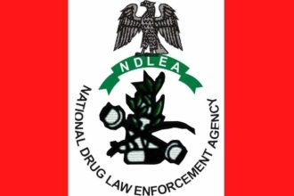 The National Drug Law Enforcement Agency (NDLEA) has taken a major step toward enhancing its operations and personnel welfare with the commissioning of a new rehabilitation centre and residential housing units at its Kano Zonal Command headquarters.