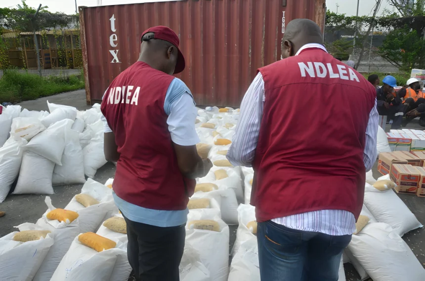 NDLEA, police, stakeholders unite against drug cartels in Edo