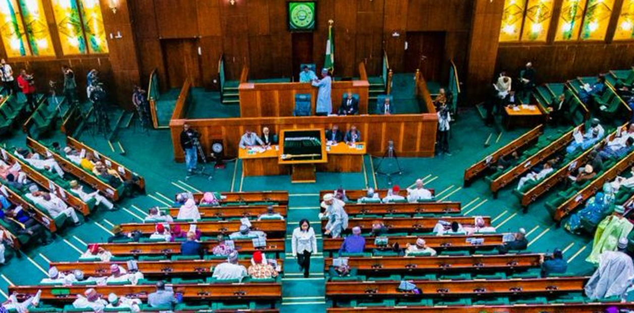 House of Reps Launches Probe into FCT Health Sector, Calls for Emergency Intervention