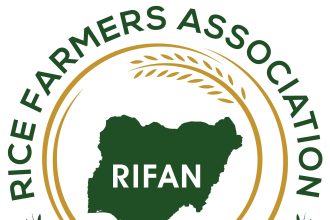 Kano Rice Farmers Call for Revival of Warehousing System Amid Falling Paddy Prices