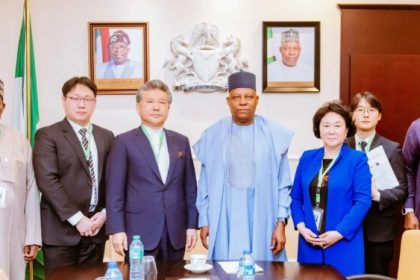 Nigeria, South Korea Eye Strategic Pact on Solar and Electric Vehicle Manufacturing