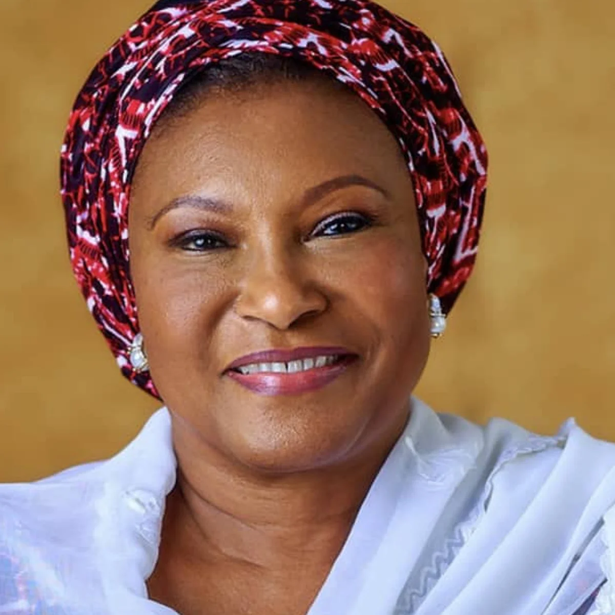 Senator Kingibe Criticizes FCTA Over Property Sealing in Abuja