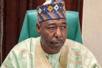 Borno Residents Appeal for Urgent Fix of Collapsed Fori Bridge