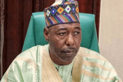 Borno Residents Appeal for Urgent Fix of Collapsed Fori Bridge