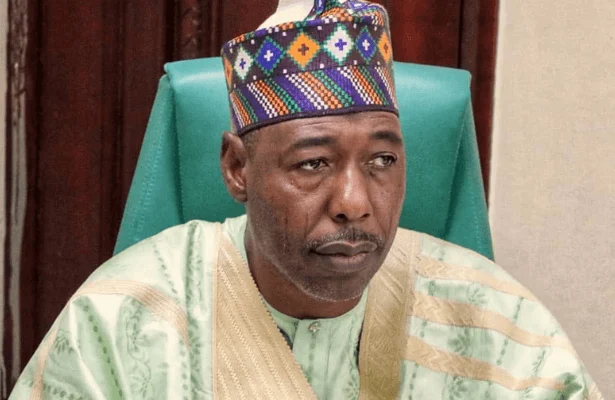 Borno Residents Appeal for Urgent Fix of Collapsed Fori Bridge