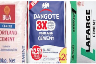 Cement Wars in 2025: Who’s Offering the Best Deal—Dangote, BUA, or Lafarge?