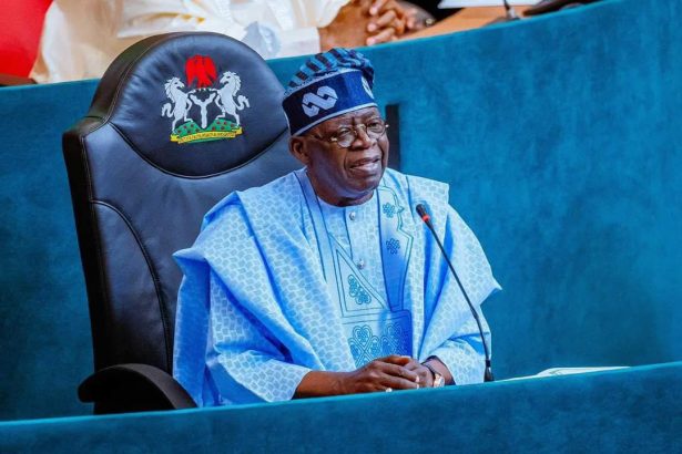 Tinubu Pledges to Defend Democracy, Honours Kudirat Abiola, Soyinka, Saro-Wiwa, Others