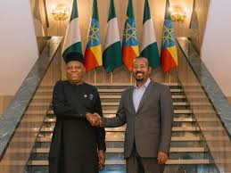 VP Shettima Strengthens Ties with Ethiopia During Official Visit