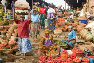 Farmers Under Siege as Food Prices Soar 29% Nationwide