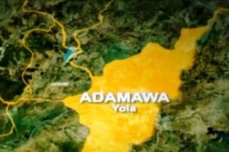 Fresh Unrest in Adamawa: Homes Torched in Border Village Clashes