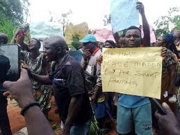 Enugu Community Protests Alleged Land Takeover for Smart Farm Project