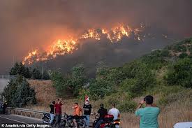 Ten Dead as Wildfire Claims Firefighters, Rescuers in Northwest Turkey
