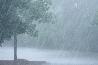 Raging Storm Claims Lives, Flattens Homes in Kano Lawmakers Demand Swift Government Response