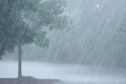 Raging Storm Claims Lives, Flattens Homes in Kano Lawmakers Demand Swift Government Response