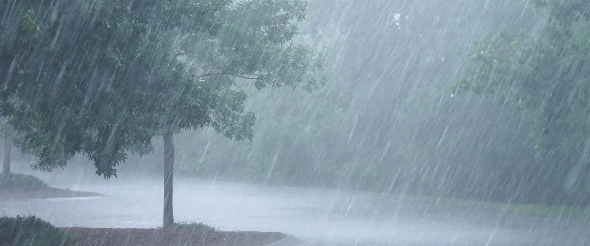 Raging Storm Claims Lives, Flattens Homes in Kano Lawmakers Demand Swift Government Response