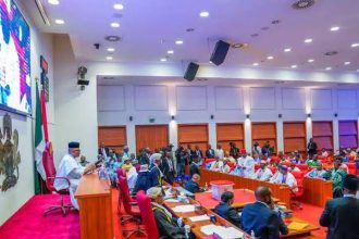 Power Sector on the Edge: Senate Pushes for Urgent Reforms