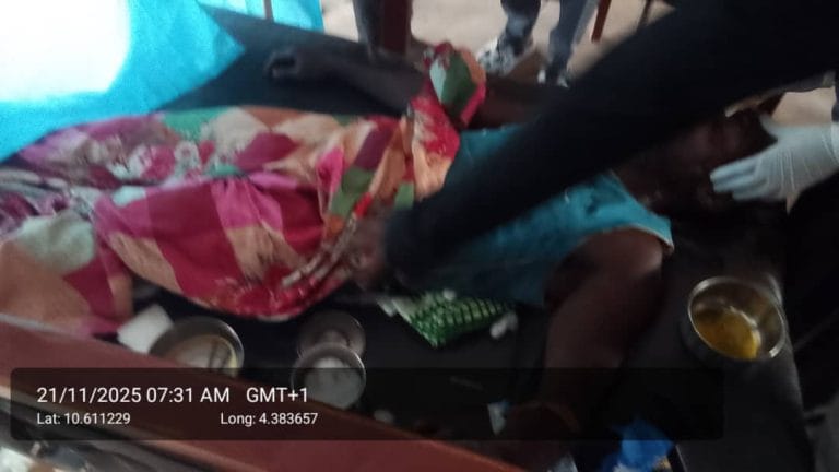 UPDATED: Catholic Diocese Confirms 303 Students Now Missing After Niger School Attack