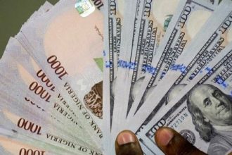 Naira notes and US dollar bills symbolizing stable exchange rate at ₦1,445