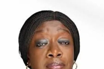 AIHN President Advocates Channeling Idle Capital into Regulated Investments to Curb Ponzi Schemes