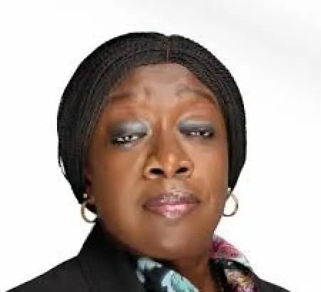 AIHN President Advocates Channeling Idle Capital into Regulated Investments to Curb Ponzi Schemes