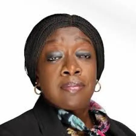 AIHN President Advocates Channeling Idle Capital into Regulated Investments to Curb Ponzi Schemes