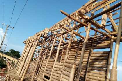 Nigeria’s Bamboo Housing Plan: Opportunities, Risks & Sustainability Challenges