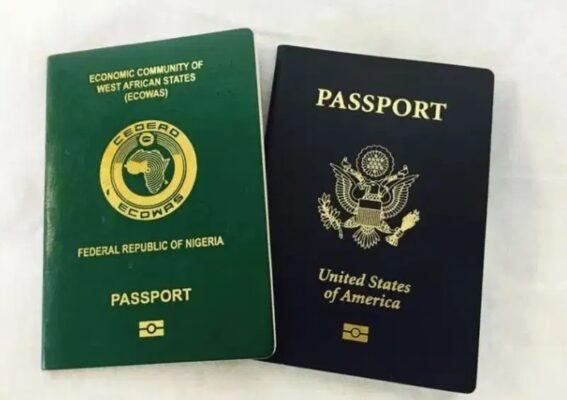 US Senator Proposes End to Dual Citizenship, Raising Concerns for Nigerians and Other Immigrants