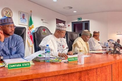 Northern Governors, Traditional Rulers Seek Six-Month Suspension of Mining to Curb Insecurity
