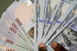 Naira Falls to N1,485/$ in Parallel Market