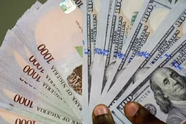 Naira Rises to N1,455/$ in Parallel Market