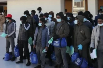 Canada Deports 366 Nigerians as Immigration Crackdown Intensifies