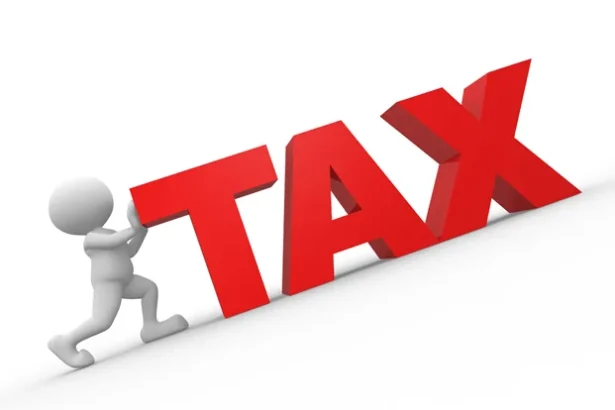 New Tax Law: What Nigerians Must Know About Filing Returns