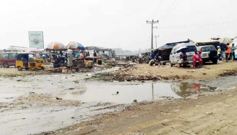 Ogun Kara Cattle Market Still Operating 17 Months After Relocation Order