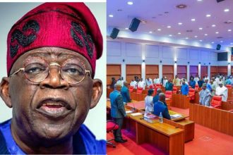 Tinubu Urges Senate to Amend Constitution for State Police to Boost Security