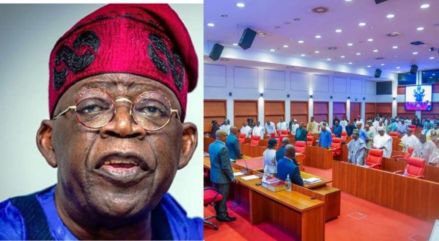 Tinubu Urges Senate to Amend Constitution for State Police to Boost Security
