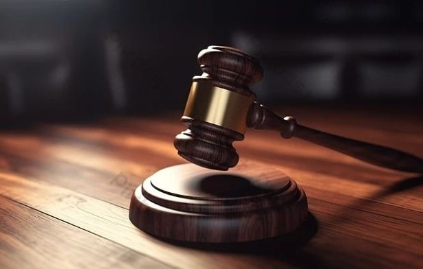 Supreme Court Rules Estate Agent Cannot Claim Commission for Mere Introduction of Buyer