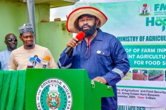 Niger to Allocate 1,000 Hectares for Nigerian Army Post-Service Housing Scheme