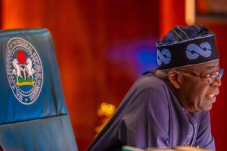 Tinubu Extends Raw Shea Nuts Export Ban to 2027 to Boost Local Processing