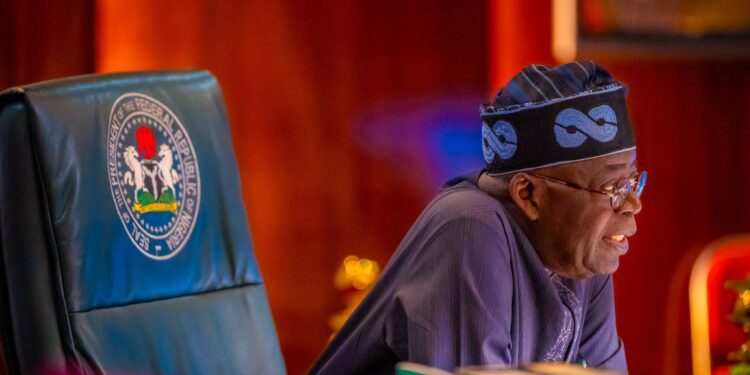 Tinubu Extends Raw Shea Nuts Export Ban to 2027 to Boost Local Processing