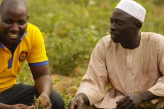 African Development Bank Approves $200m Loan for Climate-Smart Agriculture in Nigeria