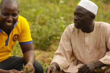 African Development Bank Approves $200m Loan for Climate-Smart Agriculture in Nigeria