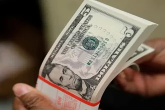 Naira Holds Steady Against Dollar as FX Market Remains Stable