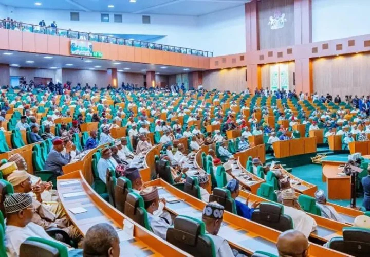 Reps Urge FG to Build Housing Estates for Retired Soldiers, Fallen Heroes’ Families