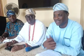 Cement Prices Surge to ₦15,000, Threatening Nigeria’s Affordable Housing Efforts – REDAN