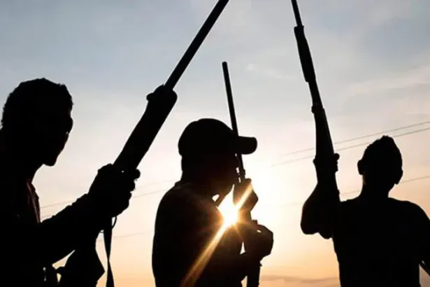Communal Clash Leaves Over 20 Dead, 400 Homes Razed in Adamawa