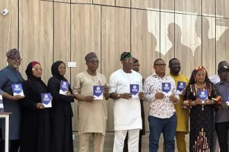 NSIB conditions of service 2026