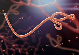 NCDC warning Nigerians about Ebola outbreak and preparedness measures in Lagos, Abuja and other states.