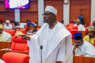 Ndume Seeks More Housing for IDPs, NEDC Office in Biu